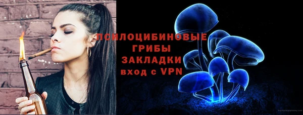 спиды Алексеевка