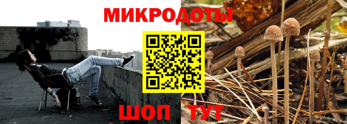 Старый Оскол  купить наркоту  Вход с VPN  Псилоцибиновые грибы Psilocybine cubensis 