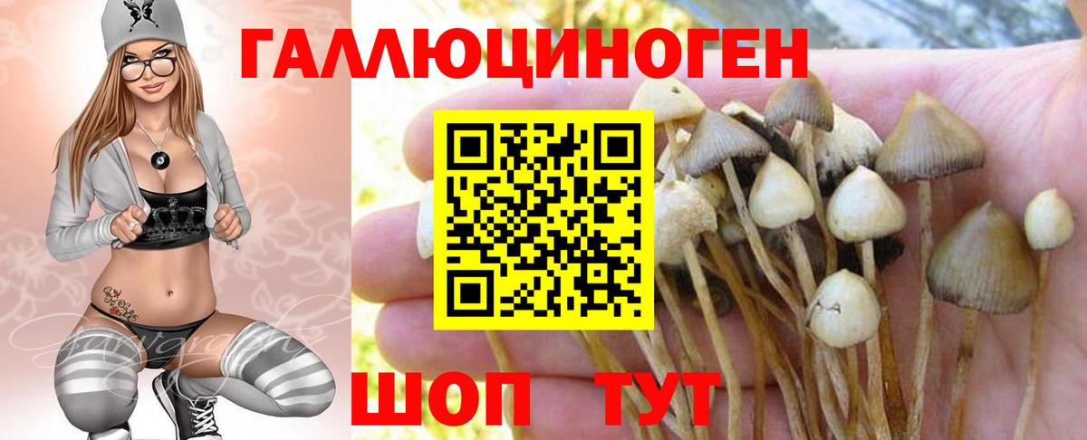 Псилоцибиновые грибы MAGIC MUSHROOMS Старый Оскол